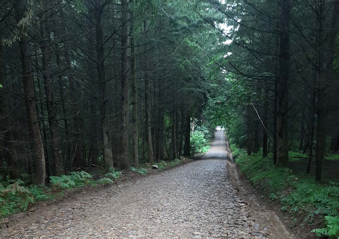 PHOTO--CHANTIER-CHEMIN-ST-HILAIRE